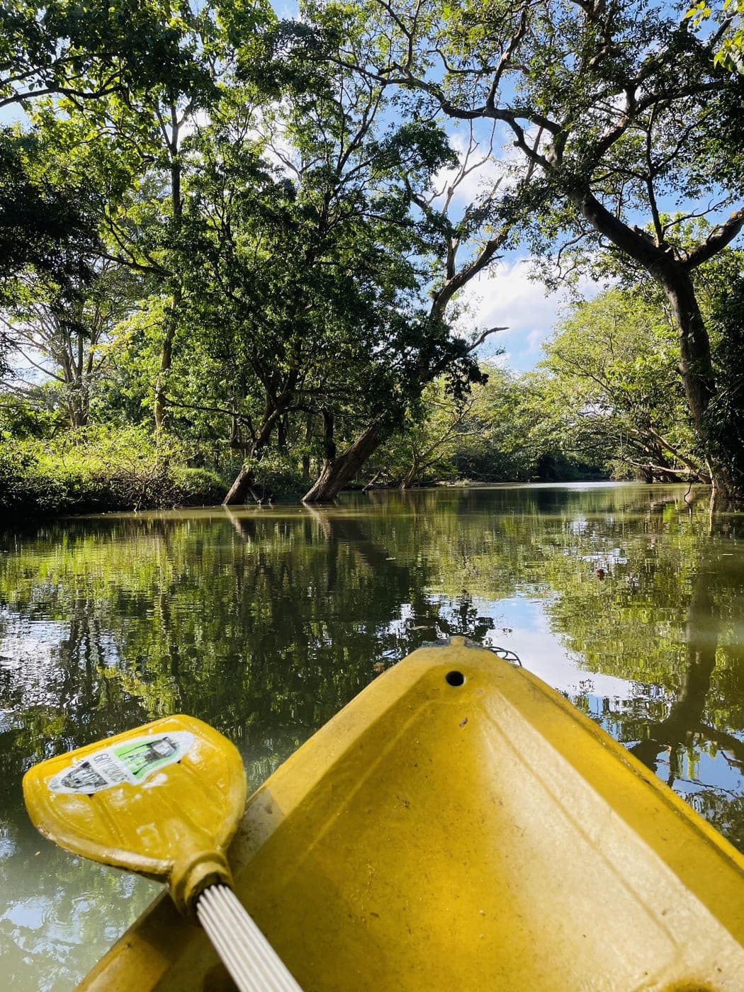 Scenic approach road and grounds of Governor's Camp Wilpattu