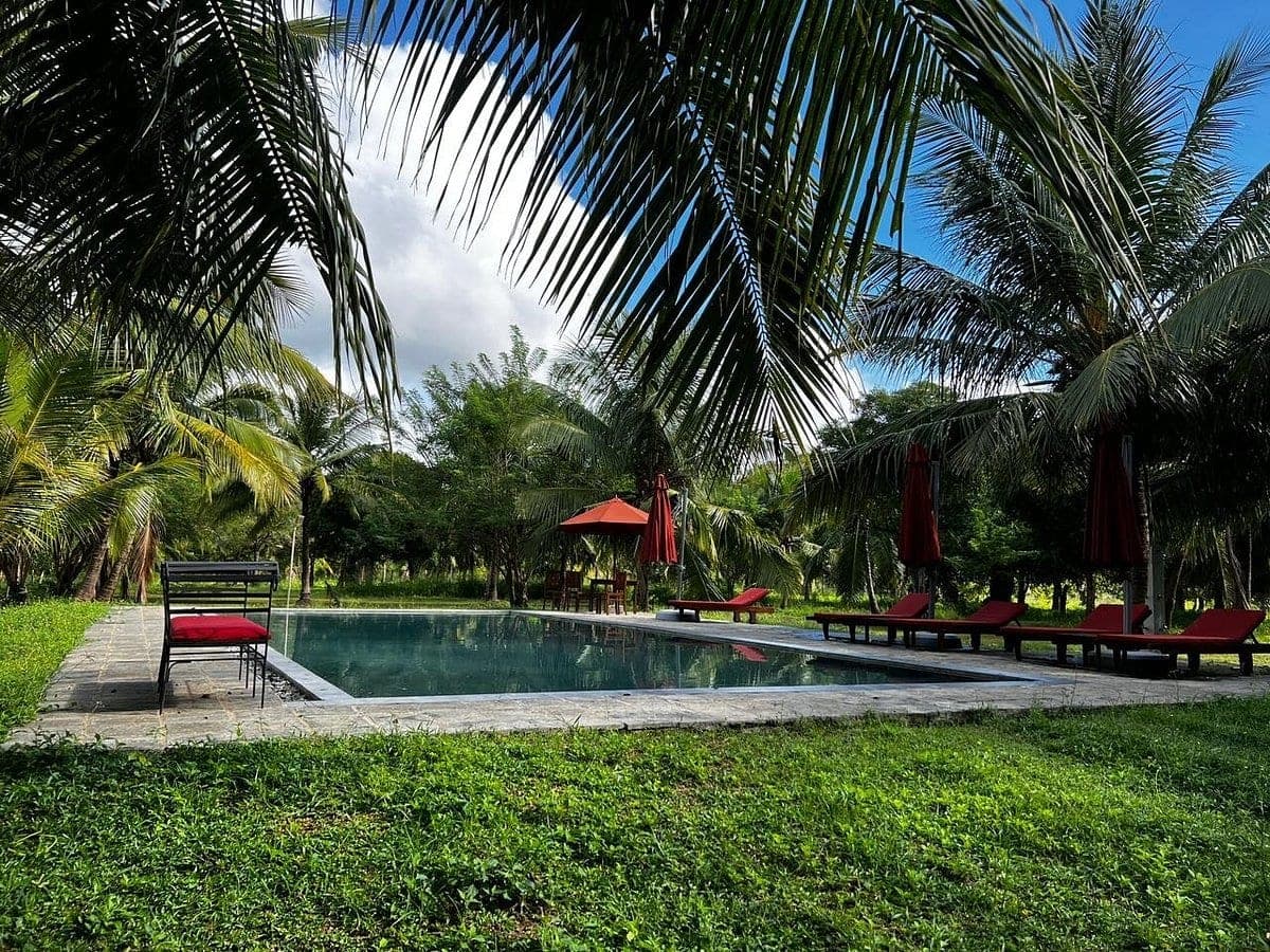 Outdoor swimming pool at Wilpattu